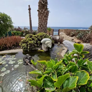 https://little-paradise-in-el-medano-2.tenerifehoteles.net