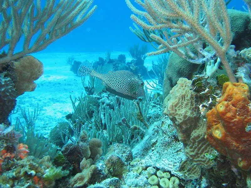 El Pisito La Dolce Vita Puerto del Carmen